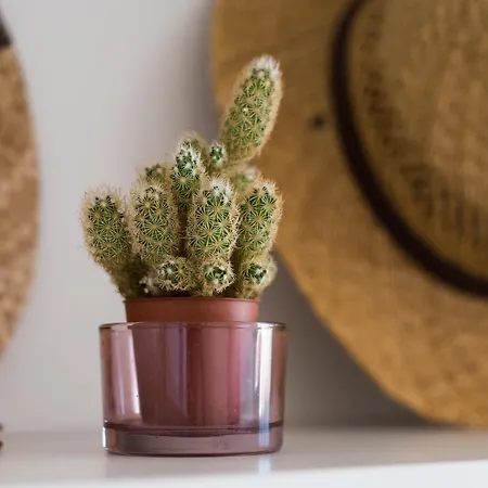 Rentandhomes Golf Elviria *