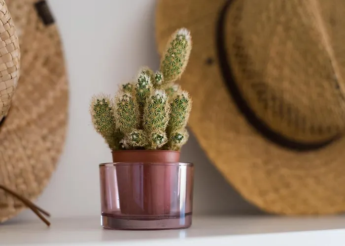 Rentandhomes Golf Elviria *